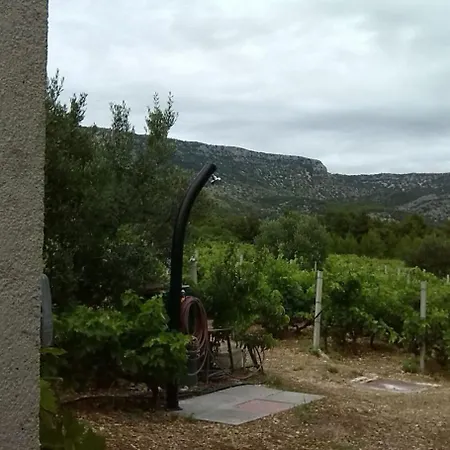 Tomy- Near Zlatni Rat *