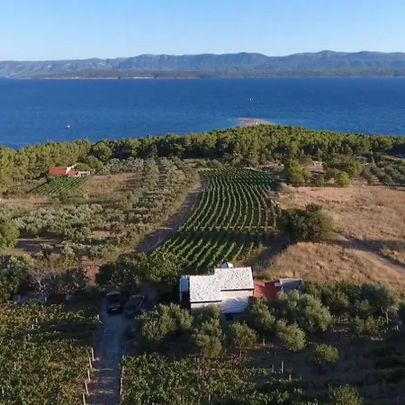 Tomy- Near Zlatni Rat Bol