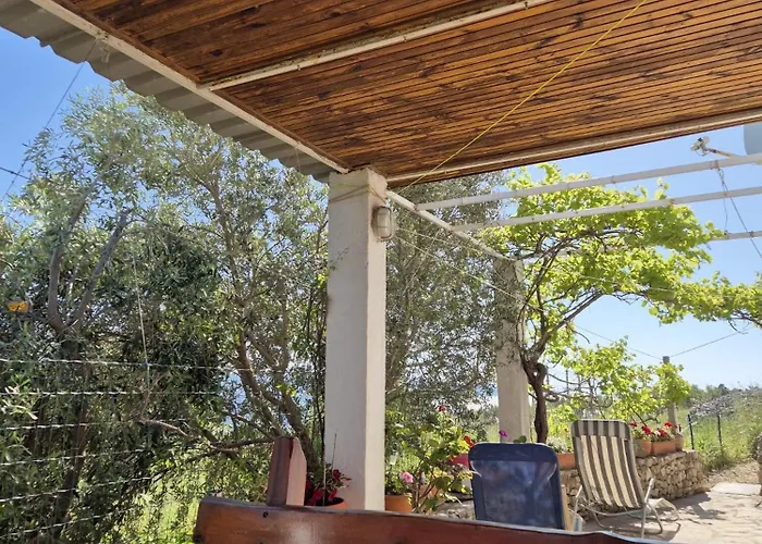 Dom wakacyjny House Tomy Bol